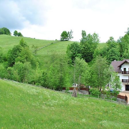 Villa La Craita à Bran  Extérieur photo