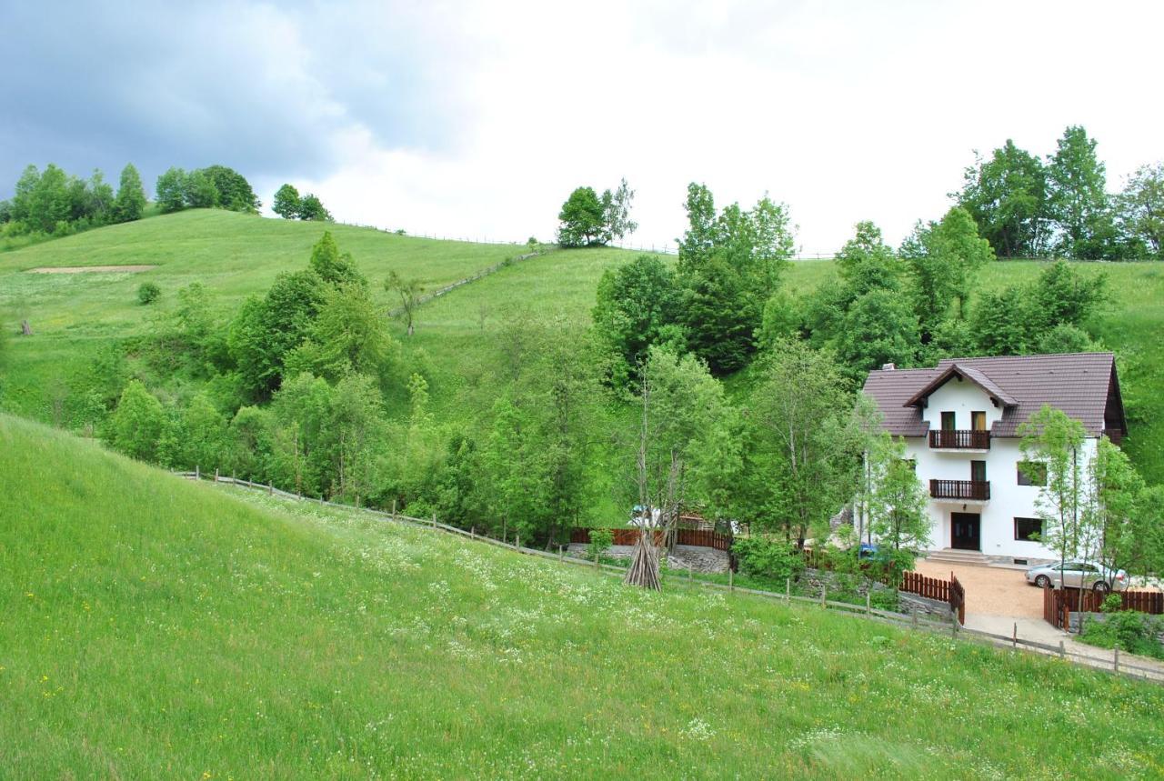 Villa La Craita à Bran  Extérieur photo